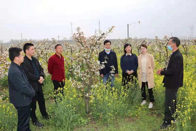 开云电子体育：立足新时代 培育“新农人”